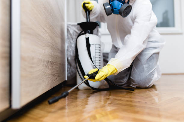 Best Residential Pest Control  in Eden Isle, LA