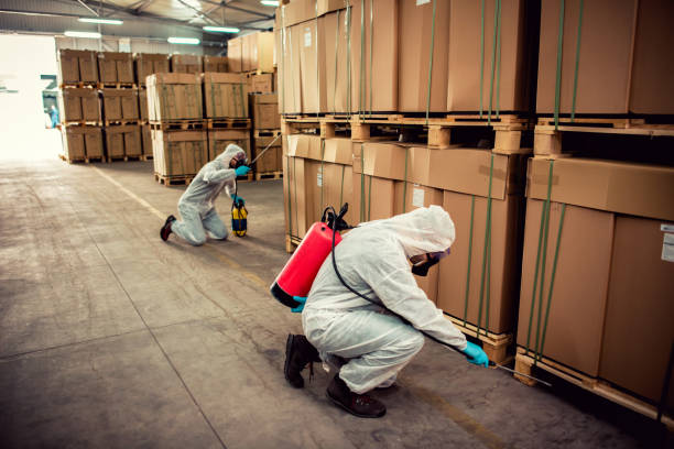 Best Wasp Removal Services  in Eden Isle, LA