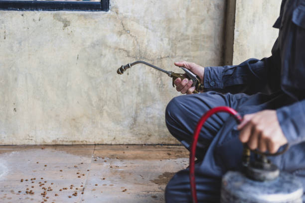 Best Best Pest Control Companies  in Eden Isle, LA